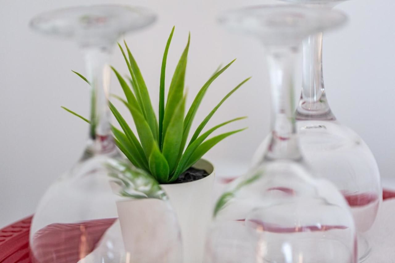 Гостевой дом Green House Бухарест-19