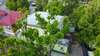 Гостевой дом Green House Бухарест-6